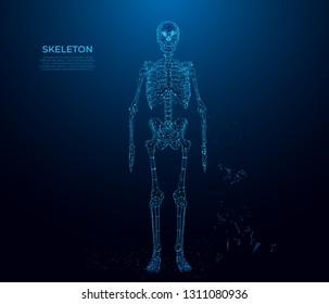 Human bones skeleton silhouette in the form of a starry sky or space. vector wireframe concept. Polygon vector design. bones in humans. Futuristic wireframe   illustration. MEDICAL
HOLOGRAM