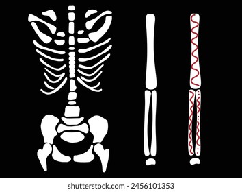 Human bones, vector set. Black and white.Day of the Dead