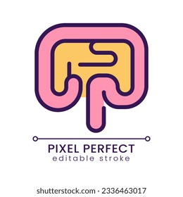 Human bowel pixel perfect RGB color icon. Gastrointestinal tract. Digestive system. Inner organ. Isolated vector illustration. Simple filled line drawing. Editable stroke. Poppins font used