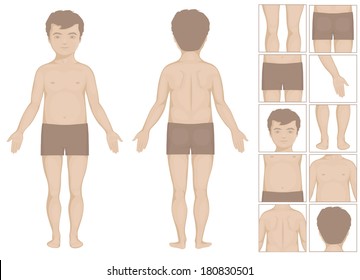 Human Or Boy Body Parts, Vector Cartoon Illustration For Kids