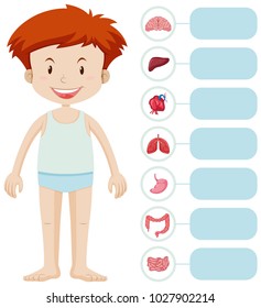 Human boy and different organs illustration
