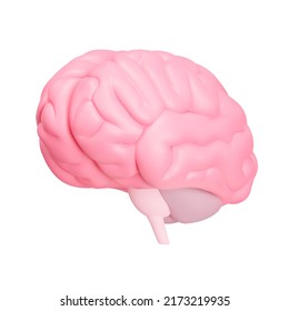 Human Brain 3d Icon. Isolated Object On A Transparent Background