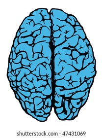 human brain from above in blue color