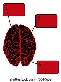 human brain from above with frame for information