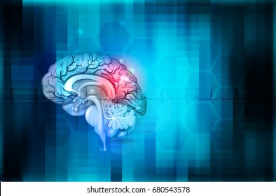 Human brain abstract blue background, beautiful colorful illustration detailed anatomy