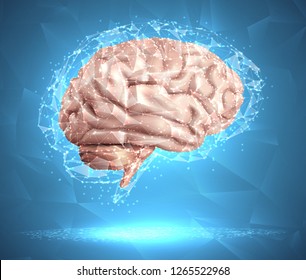 human brain and abstract design elements. mesh vector