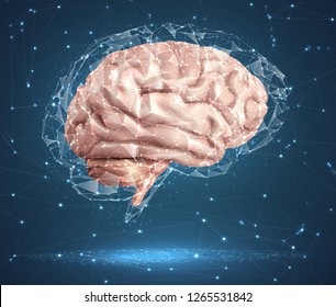 human brain and abstract design elements. mesh vector