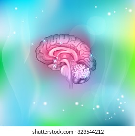 Human brain abstract light blue background, beautiful colorful illustration detailed anatomy. 