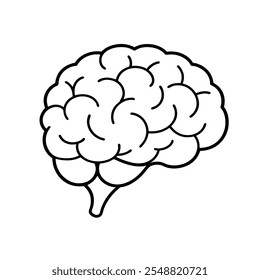 Anatomia, Conceito e Função do Cérebro Humano: Estrutura Detalhada do Cérebro e Neurobiologia