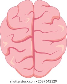 Human Brain Anatomy Design Vector Illustration