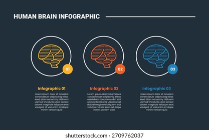 Diagrama de proceso de infografía de anatomía del cerebro humano con un gran círculo de contorno con una Pequeña línea de sombreado cerebral con fondo oscuro estilo de contorno brillante Vector de 3 puntos