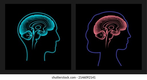 Human brain anatomy on a black background. Limbic system and neural network concept. Digital science technology concept. Cerebral cortex and cerebrum medical poster 3D vector illustration for clinic
