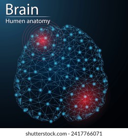 Human brain anatomy organ translucent low poly triangle futuristic glowing. On dark blue background. Brain disease medical innovation concept.