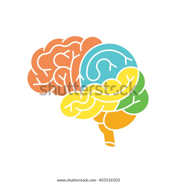 人間の脳解剖構造 人間の脳解剖図 人間の脳の構造を平坦なスタイルで簡単に色を変えるベクター画像 脳のアイコン 人間の脳の構造 ベクター画像の脳のロゴ のベクター画像素材 ロイヤリティフリー