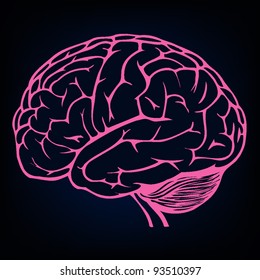 human brain background