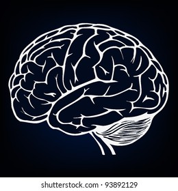 human brain background