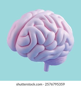human brain beautifull vector image