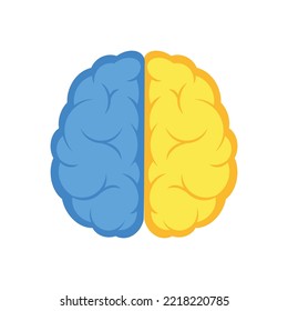 Human brain, blue and yellow hemispheres