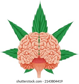 Ilustración del cerebro humano y la hoja de cannabis