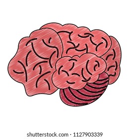 Human brain cartoon scribble
