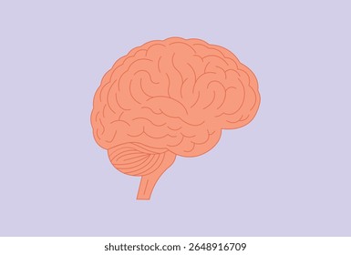 Human Brain Cognitive Function Organ vector illustration.