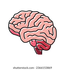 human brain human color icon vector. human brain human sign. isolated symbol illustration