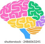 Human brain with colored lobes