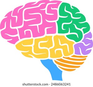 Cerebro humano con lóbulos de colores