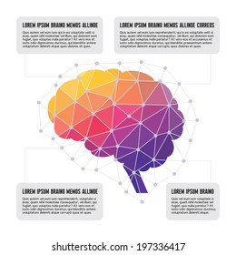 Cerebro Humano - Ilustración Infográfica de Polígono coloreado para presentación, folleto, sitio web, etc.