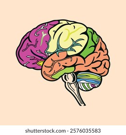 human brain colour unique vector art