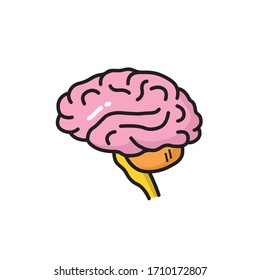 Human brain coloured vector illustration