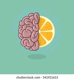 Human Brain Combined With A Citrus Fruit. Refresh Your Creativity Conceptual Illustration.   Vector Graphic. 