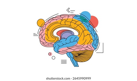 Human Brain Components and Lobes Understanding Mental Health Awareness