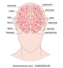 Concepto de cerebro humano, izquierda, derecha, cabeza humana con icono de silueta cerebral. Vista simple de la cabeza Ilustración vectorial cerebral humana en estilo plano