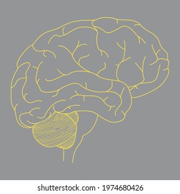 Human brain concept. Linear isolated editable illustration in the colors of the year 2021. ultimate gray and illuminating. Design template for logo, print and web banners.