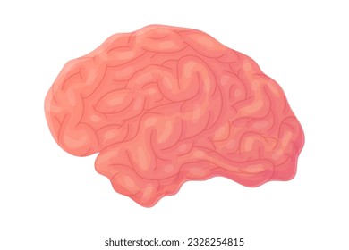 Human brain. Concept of wisdom, clever, smart. Internal organ, anatomy. Stock vector cartoon flat icon illustration isolated on white background.