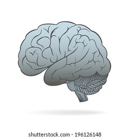 Human Brain Conceptual Vector Illustration Stock Vector (Royalty Free ...