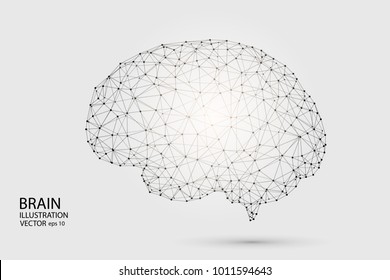 The human brain consists of lines and triangles. The illustration is made up of polygons and points, stars in the sky. Vector EPS 10.