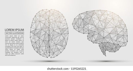 The human brain consists of lines and triangles. The illustration is made up of polygons and points, stars in the sky. Vector EPS 10.