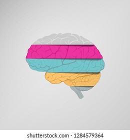  human brain consists of strips of multicolored paper. Vector illustration.