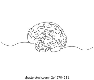 Human brain continuous line. Continuous one line drawing of brain. Organ smart concept. Single line drawing