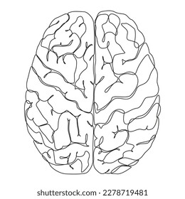 Human Brain Continuous one line art. Logo for medical clinic. Design concept for medical project. Human internal organs icon, vector graphic illustration, simple drawing. Psychological office logotype