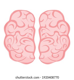 Human brain cord icon. Cartoon of human brain cord vector icon for web design isolated on white background