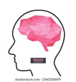 Human brain. Creative Concept. vector illustration.