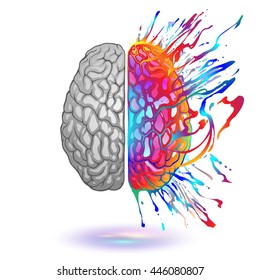 Human Brain With Creative Splash