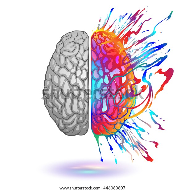 Menschliches Gehirn Mit Kreativem Splash Stock Vektorgrafik Lizenzfrei