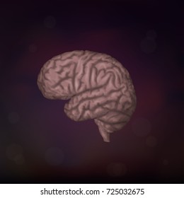 Human brain. Dark background. Vector medical illustration.