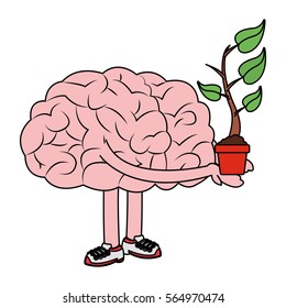 human brain design