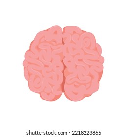 Human brain, detailed convolutions, top view