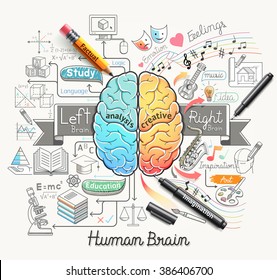 Human brain diagram doodles icons style. Vector illustration.